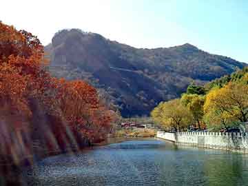 管家婆黑白马报图库，尼龙板规格